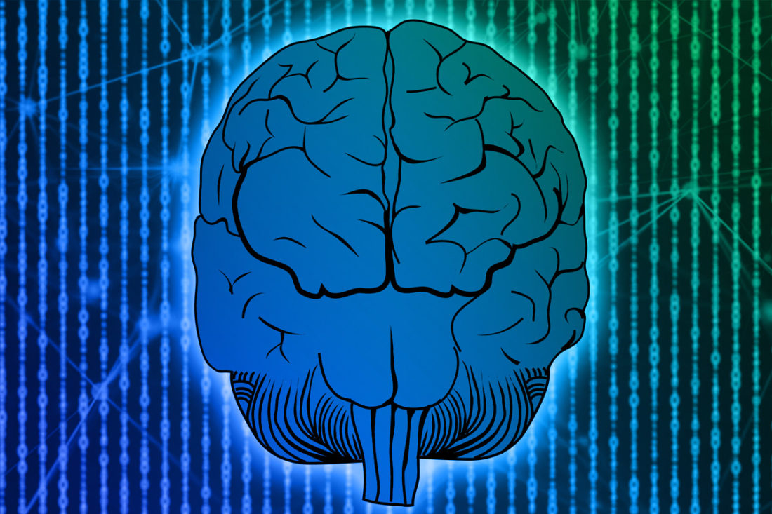 Full-Whole-Brain-Marketer Full Brain Marketer Radom
