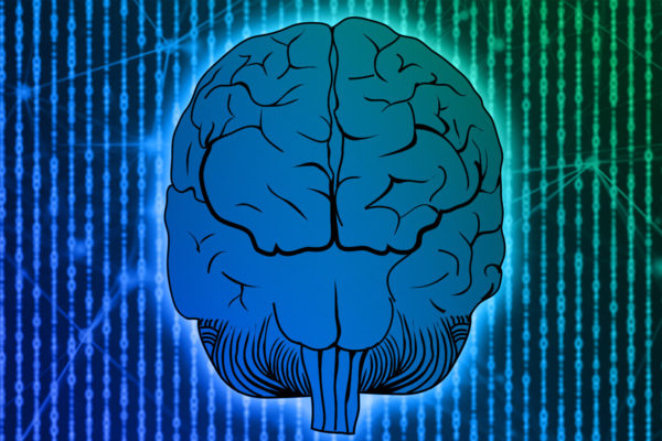 Full-Whole-Brain-Marketer Full Brain Marketer Radom