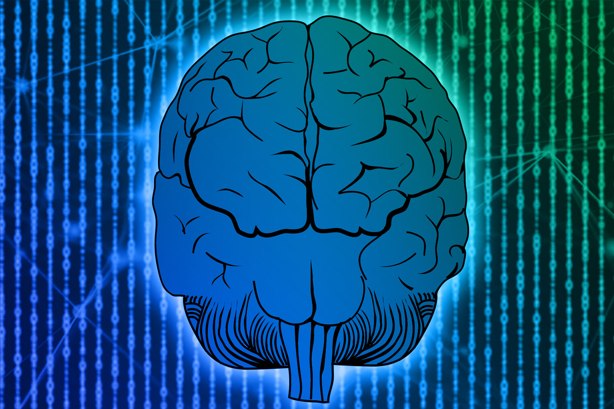 Full-Whole-Brain-Marketer Full Brain Marketer Radom