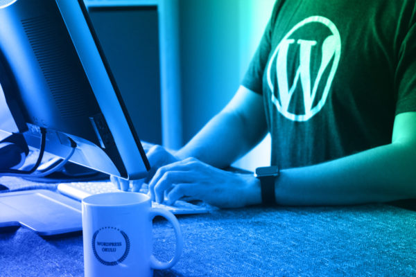 Specjalista Wordpress - Lolson Zawadzki